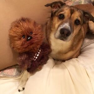 Meet your Posher, Stacy